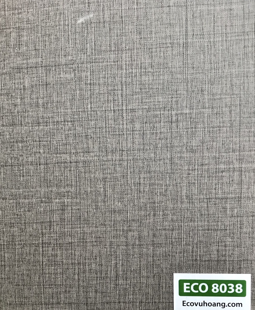 ECO 8038