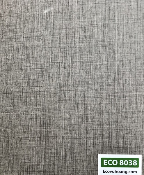 ECO 8038
