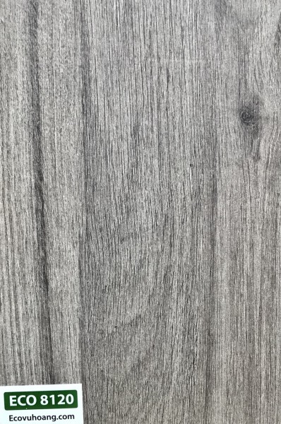 ECO 8120